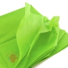 Бумага упаковочная тишью Зеленая, листы 50*50 см  (10 шт.)