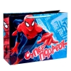 Пакет ламинированный горизонтальный Супер подарок Человек-паук 61 х 46 х 20 см