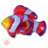 Рыбка-Клоун Cloun-fish 35"/89 см