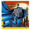 Салфетки Бэтмен Batman Dark Hero набор 33*33 см (20 шт.)